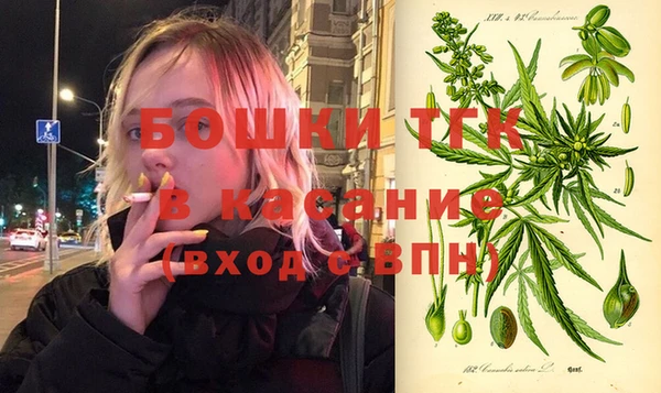 молекула духа Белокуриха
