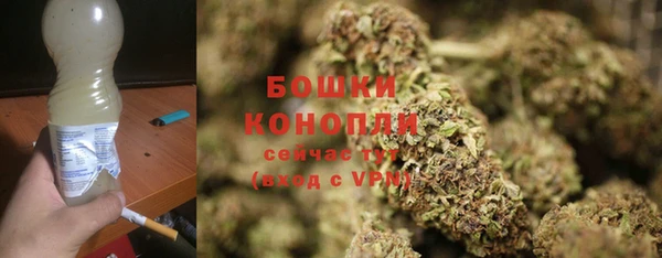 соль ск Семёнов