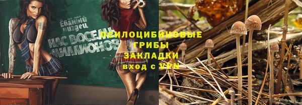 молекула духа Белокуриха
