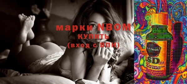молекула духа Белокуриха