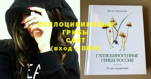 молекула духа Белокуриха