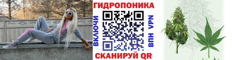 KRAKEN   Облучье  Каннабис SATIVA & INDICA 